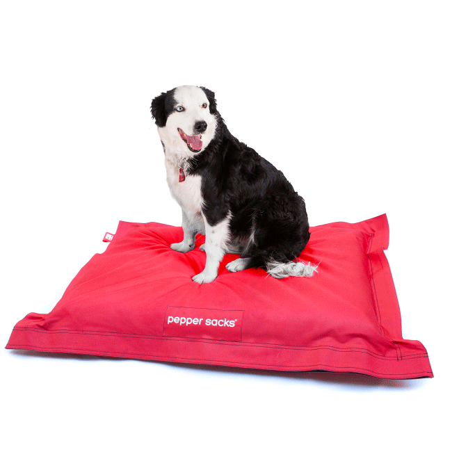 como hacer una cama para perro grande como hacer una cama para perro grande
